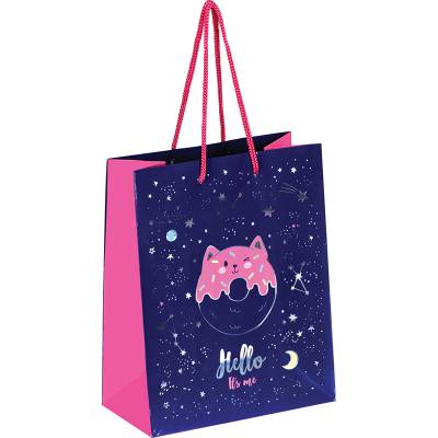 КанцРЦ Пакет подарочный 18*23*10см ArtSpace "Space cat", отд. фольгой, ламинированный YPm_32923